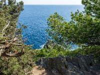 112  - Porquerolles (Hyères) - 83 - Vue depuis le site du Phare