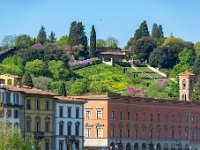 Jardin Stefano Bardini 2