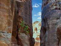 54  Jordanie - Petra - Le Siq - 22 novembre 2023