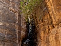 Jordanie - Petra - Le Siq - 22 novembre 2023