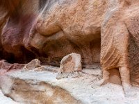 Jordanie - Petra - Le Siq - Vestiges sculptés d'un chamelier suivi de 2 chameaux - 22 novembre 2023