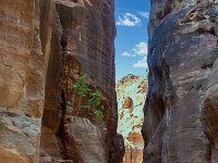 Jordanie - Petra - Le Siq - 22 novembre 2023