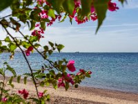 Jordanie - Aqaba  - Beach Club Berenice et la mer rouge -24 novembre 2023