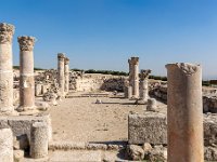 Jordanie - Amman - la citadelle  II et VIII siècle Ap/JC -18 novembre 2023