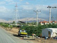 Jordanie - Etal de d'oranges et de pomelos (production locale)