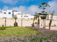 Essaouira Maroc avril 2019 16  Maroc - Essaouira - Avril 2019