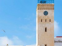 Essaouira Maroc avril 2019 25  Maroc - Essaouira - Avril 2019