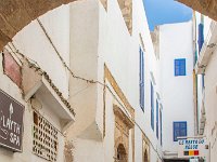 Essaouira Maroc avril 2019 40  Maroc - Essaouira - Avril 2019