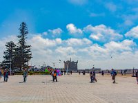 Essaouira Maroc avril 2019 41  Maroc - Essaouira - Avril 2019