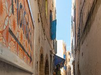 Essaouira Maroc avril 2019 50  Maroc - Essaouira - Avril 2019