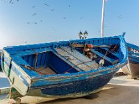 Essaouira Maroc avril 2019 56  Maroc - Essaouira - Avril 2019