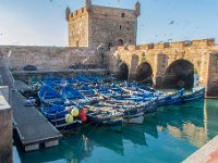 Essaouira Maroc avril 2019 58  Maroc - Essaouira - Avril 2019