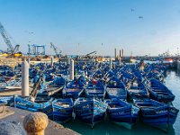 Essaouira Maroc avril 2019 59  Maroc - Essaouira - Avril 2019