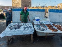 Essaouira Maroc avril 2019 60  Maroc - Essaouira - Avril 2019