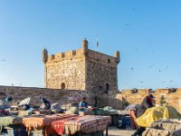 Essaouira Maroc avril 2019 61  Maroc - Essaouira - Avril 2019