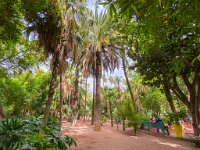 Le jardin Majorelle 05 10 22 10  Le jardin Majorelle - 05/10/22