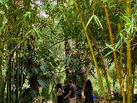 Le jardin Majorelle 05 10 22 15  Le jardin Majorelle - 05/10/22