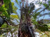 Le jardin Majorelle 05 10 22 16  Le jardin Majorelle - 05/10/22