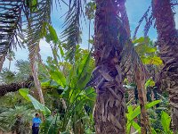 Le jardin Majorelle 05 10 22 20  Le jardin Majorelle - 05/10/22