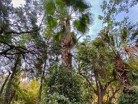 Le jardin Majorelle 05 10 22 23  Le jardin Majorelle - 05/10/22