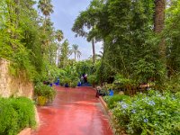 Le jardin Majorelle 05 10 22 25  Le jardin Majorelle - 05/10/22