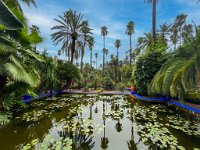 Le jardin Majorelle 05 10 22 28  Le jardin Majorelle - 05/10/22