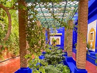 Le jardin Majorelle 05 10 22 33  Le jardin Majorelle - 05/10/22