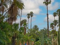 Le jardin Majorelle 05 10 22 49  Le jardin Majorelle - 05/10/22