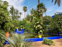 Le jardin Majorelle 05 10 22 52  Le jardin Majorelle - 05/10/22