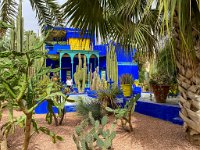 Le jardin Majorelle 05 10 22 55  Le jardin Majorelle - 05/10/22