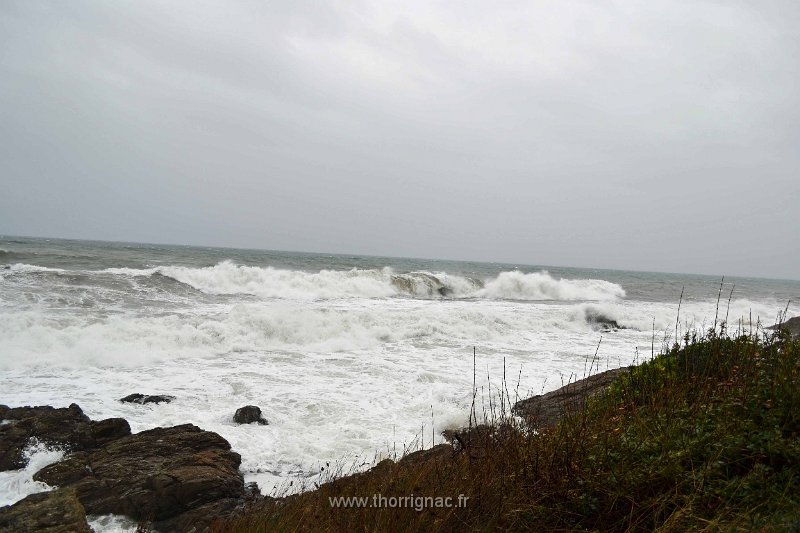 DSC_0012.JPG - Le 31 octobre 2012 à saint-Aygulf (83)