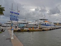 Bormes les mimosas 6  Les navettes pour les ïles.  Le 05 décembre 2014 sous la pluie.