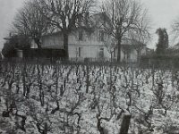 Chateau Haut Brana copie  Pessac - 33 - Château Haut Brana