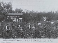 dommaine chiquet haut brion copie  Pessac - 33 - Domaine du Chiquet-Brion