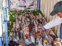 Maroc - Essaouira - Avril 2019