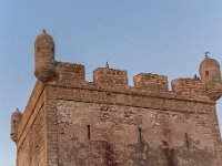 Maroc - Essaouira - Avril 2019