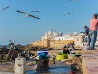 Maroc - Essaouira - Avril 2019