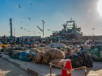 Maroc - Essaouira - Avril 2019