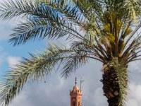 Maroc - Marrakech - La Medina - Avril 2019