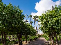 Maroc - Marrakech - La Medina - Avril 2019