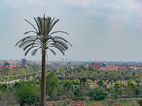 Maroc - Marrakech - La ville - Avril 2019