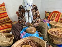 Maroc - Sur la route d'Essaouira - Société Afous huile argan - 22/04/2024