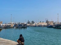 Maroc - Essaouira - 22/04/2024