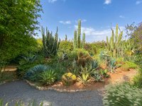 Le jardin Anima à Douar Sbiti - 09/10/2022