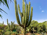 Le jardin Anima à Douar Sbiti - 09/10/2022