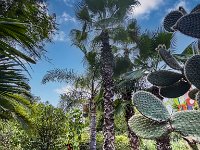 Le jardin Anima à Douar Sbiti - 09/10/2022