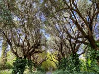 Le jardin Anima à Douar Sbiti - 09/10/2022