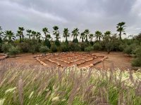 Le jardin Anima à Douar Sbiti - 09/10/2022