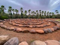 Le jardin Anima à Douar Sbiti - 09/10/2022