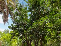 Le jardin Majorelle - 05/10/22